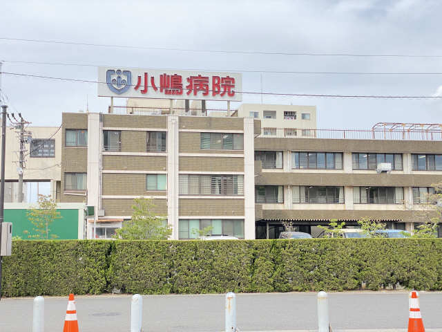 小嶋病院