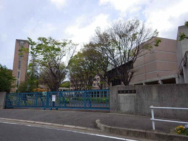 星城大学