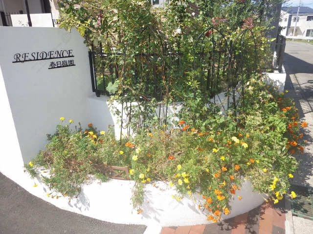 色とりどりのお花が楽しめます！