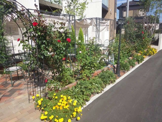 色とりどりのお花が楽しめます！