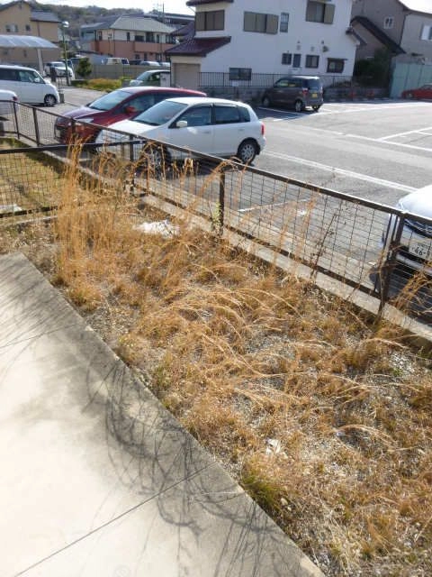 1Ｆ専用スペース