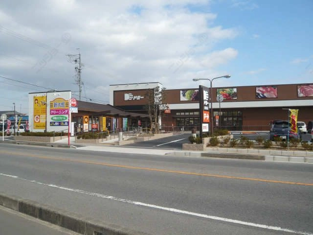 ドミー