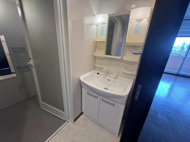 シャンプードレッサー