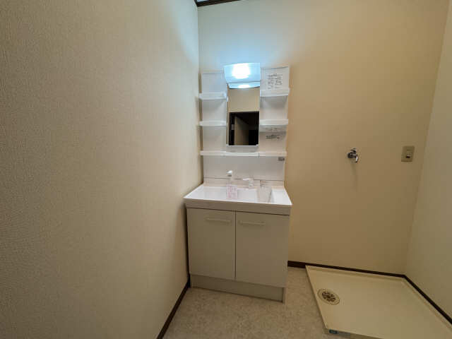 シャンプードレッサー