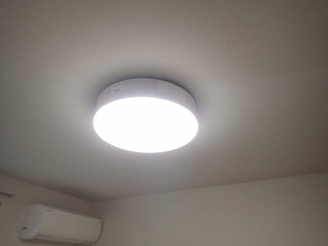 ﾌﾟﾛｼﾞｪｸﾀｰｼｰﾘﾝｸﾞﾗｲﾄ