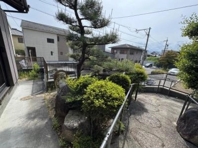 庭