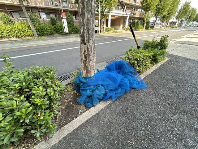 ゴミ置き場