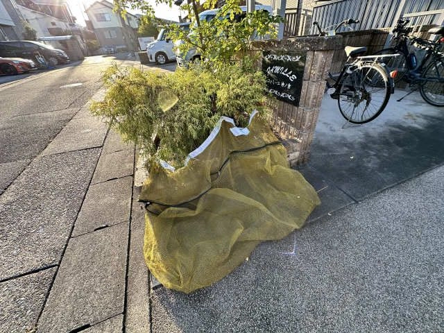 ゴミ置き場