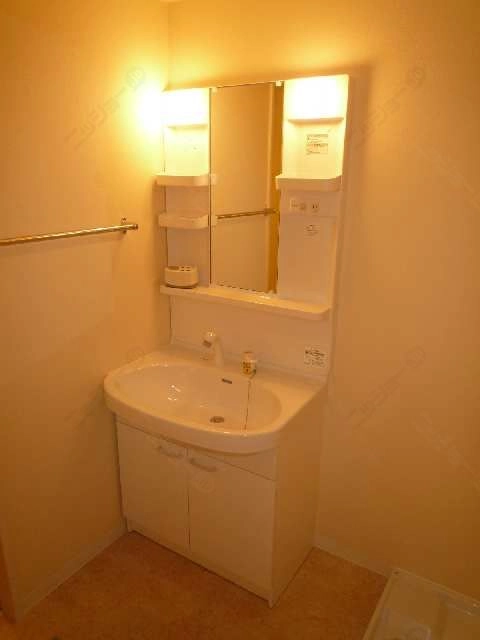 シャンプードレッサー