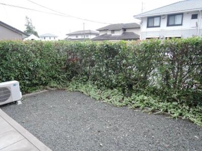 庭