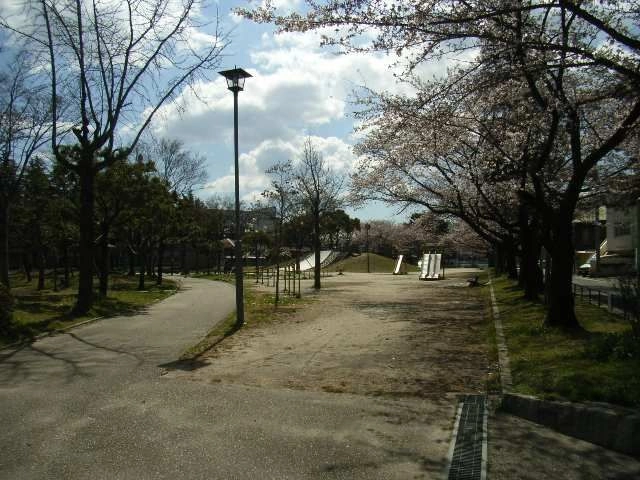 木ヶ崎公園