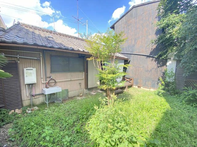 庭