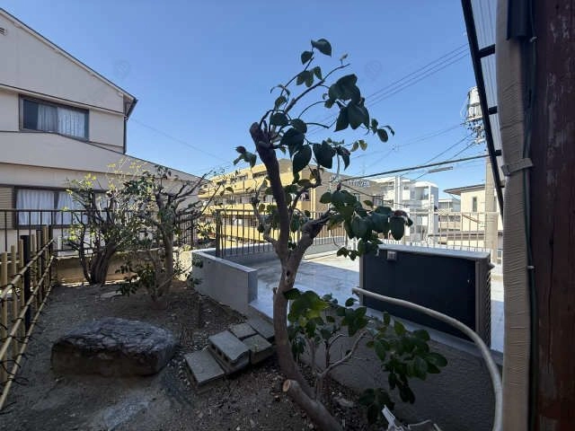 庭