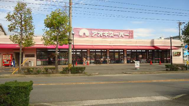 アオキスーパー