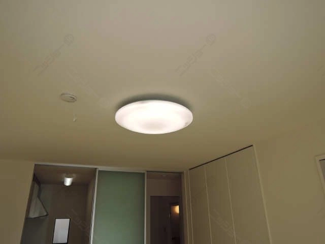 照明