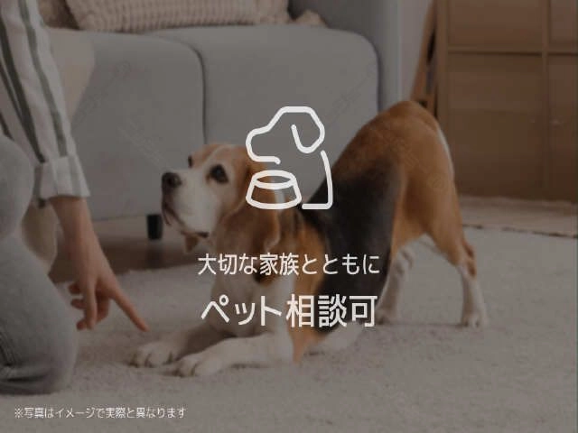 ペット可