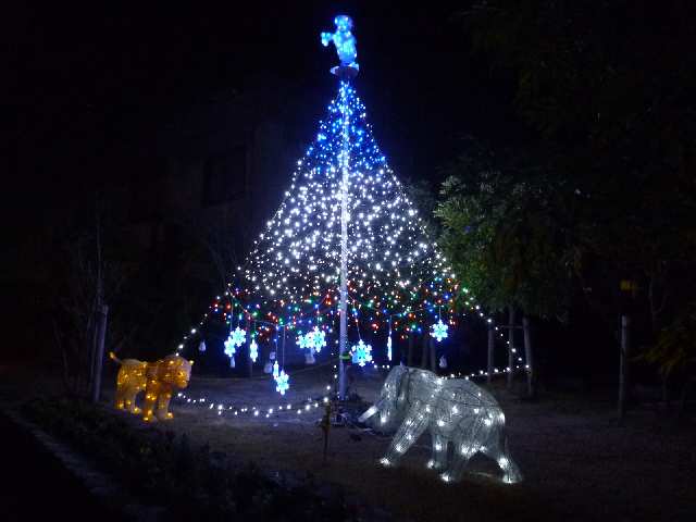 全面庭（冬の景色）