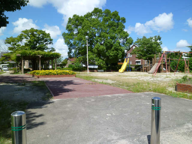 隣地公園夏仕様