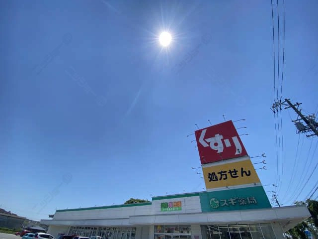 スギ薬局