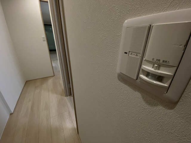 玄関センサー照明