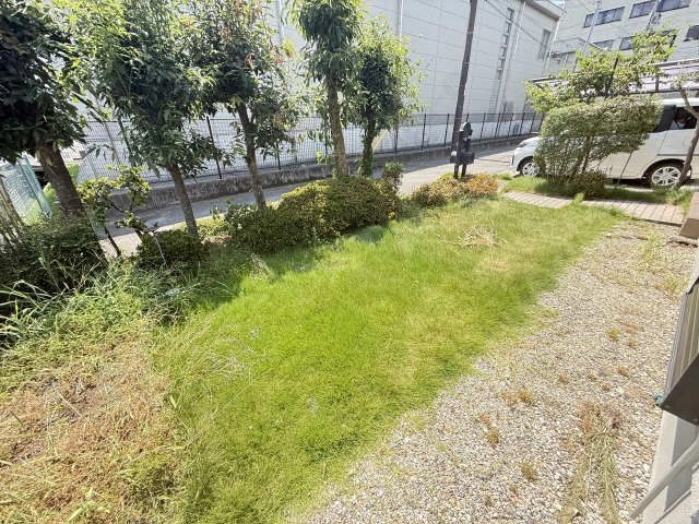 庭