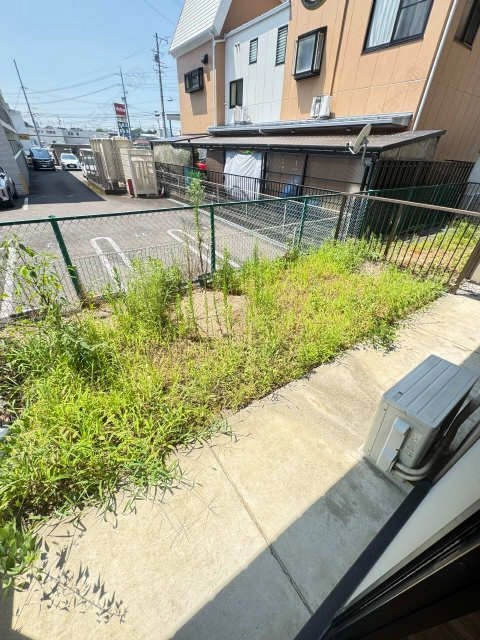 庭