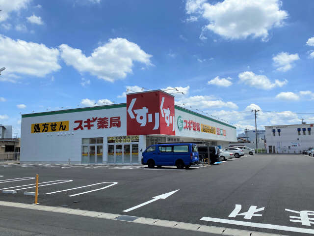 スギ薬局柏森駅南店