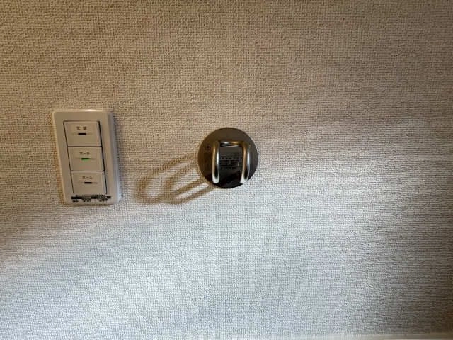 リードフック