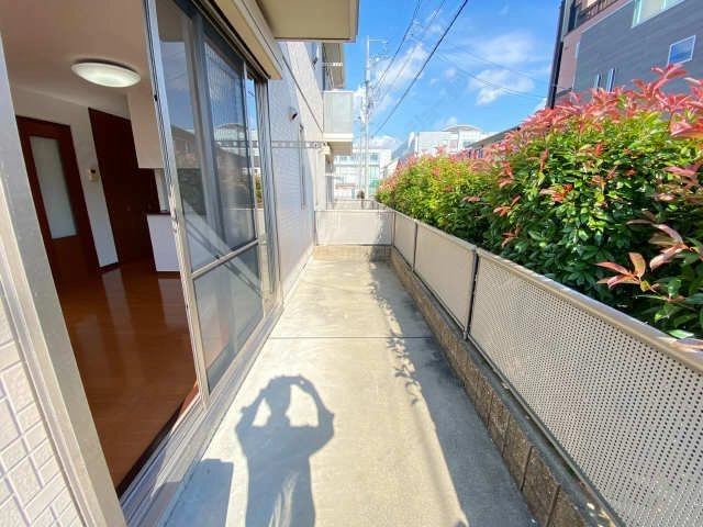 庭