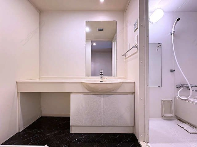 シャワー付洗面台