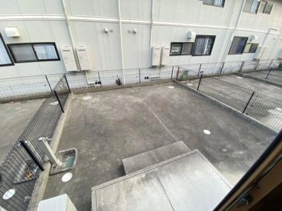 庭