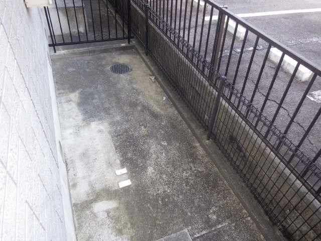 庭