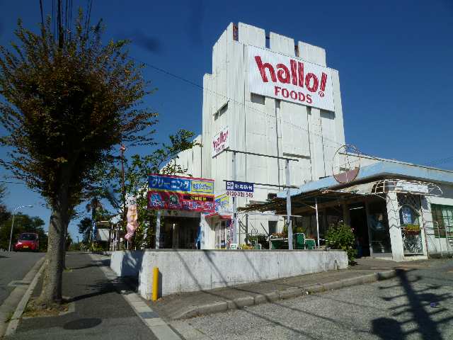 ｽｰﾊﾟｰﾊﾛｰﾌｰﾂﾞ歩9分