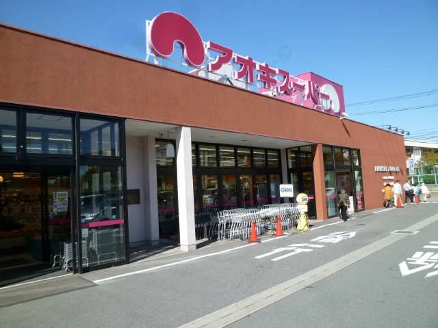 アオキスーパー歩7分