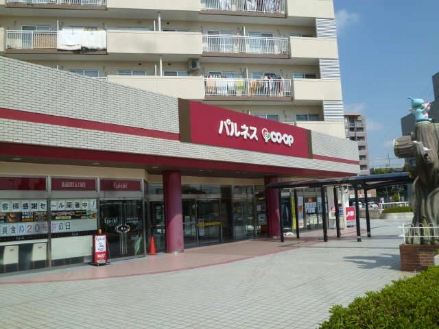 ｽｰﾊﾟｰパルネス8分