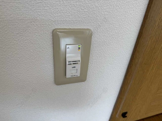 ネット無料宇