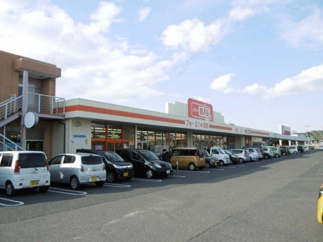 イオンビッグ