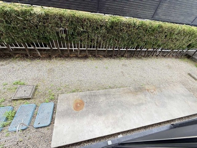 庭