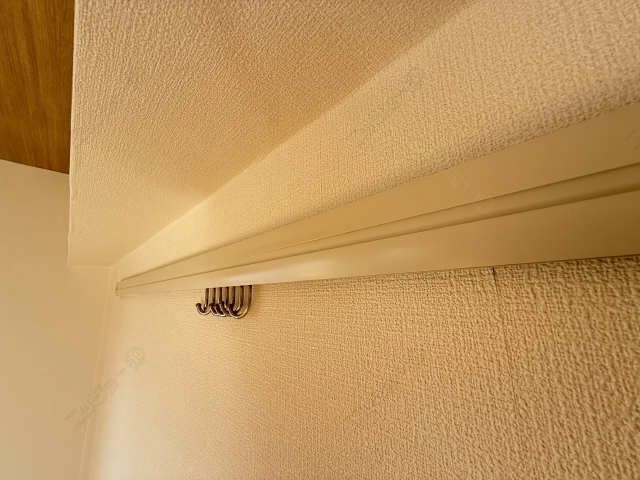 ハンガーフック