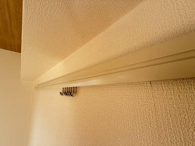 ハンガーフック