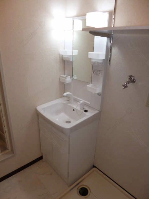 ｼｬﾝﾌﾟｰﾄﾞﾚｯｻｰ