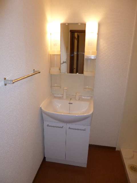 ｼｬﾝﾌﾟｰﾄﾞﾚｯｻｰ