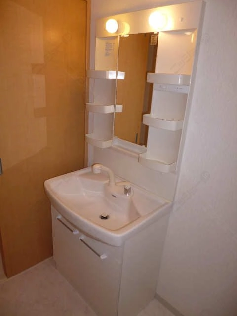 ｼｬﾝﾌﾟｰﾄﾞﾚｯｻｰ