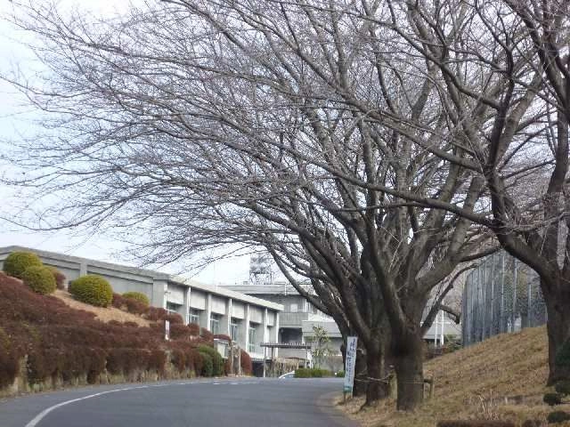 小学校
