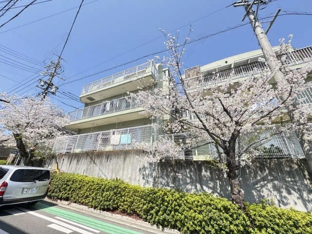 外観（桜シーズン）