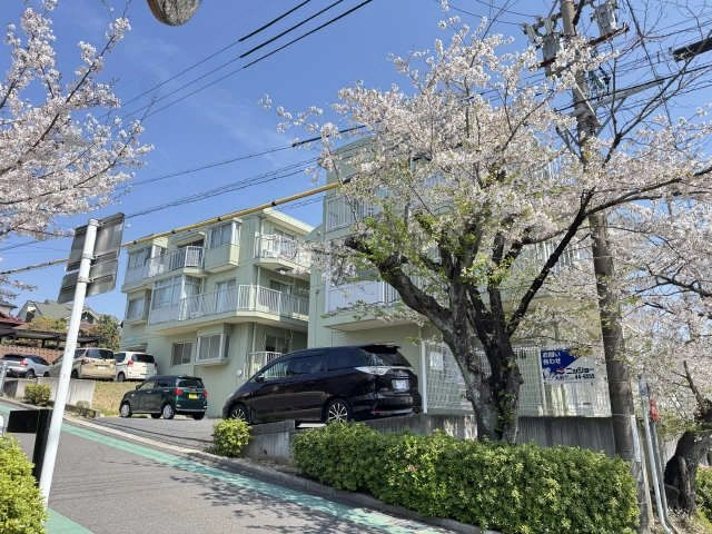 外観（桜シーズン）