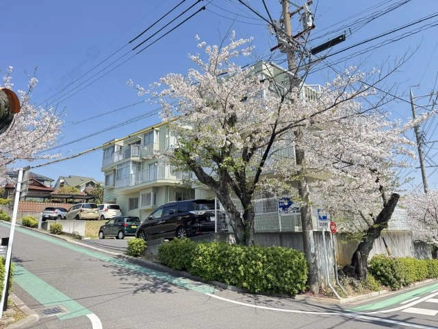 外観（桜シーズン）