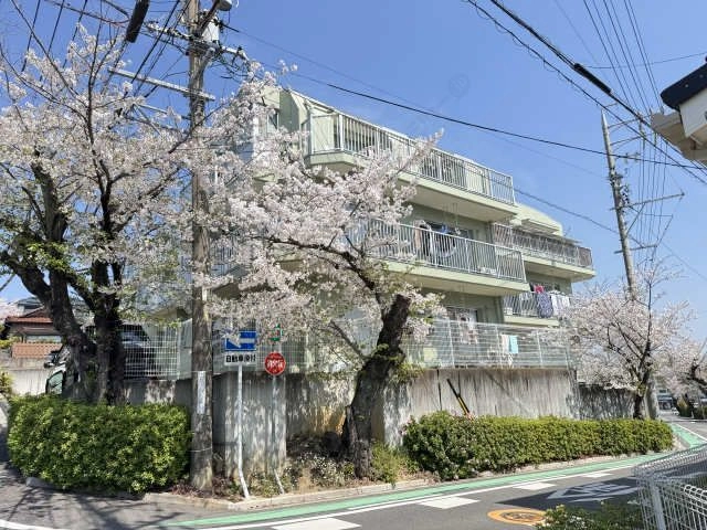 外観（桜シーズン）