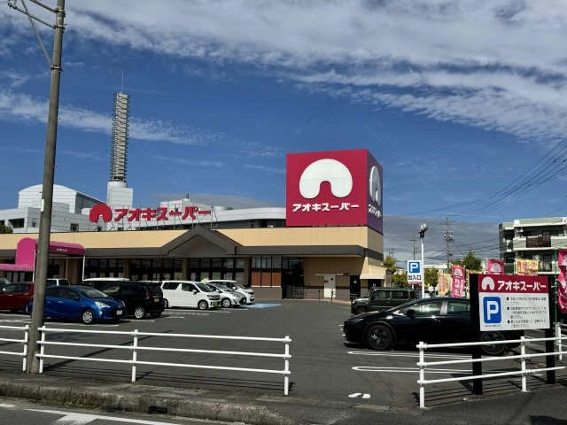 アオキスーパー
