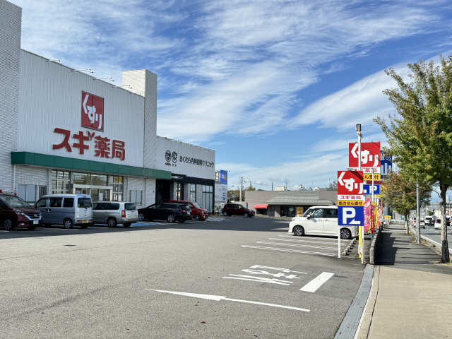 スギ薬局